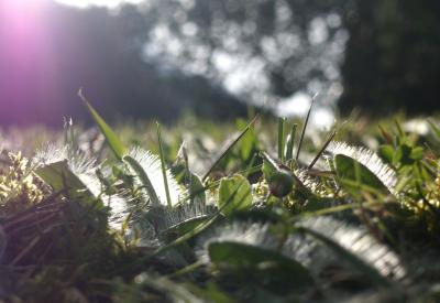 Прикрепленное изображение: DSC03980_w.jpg